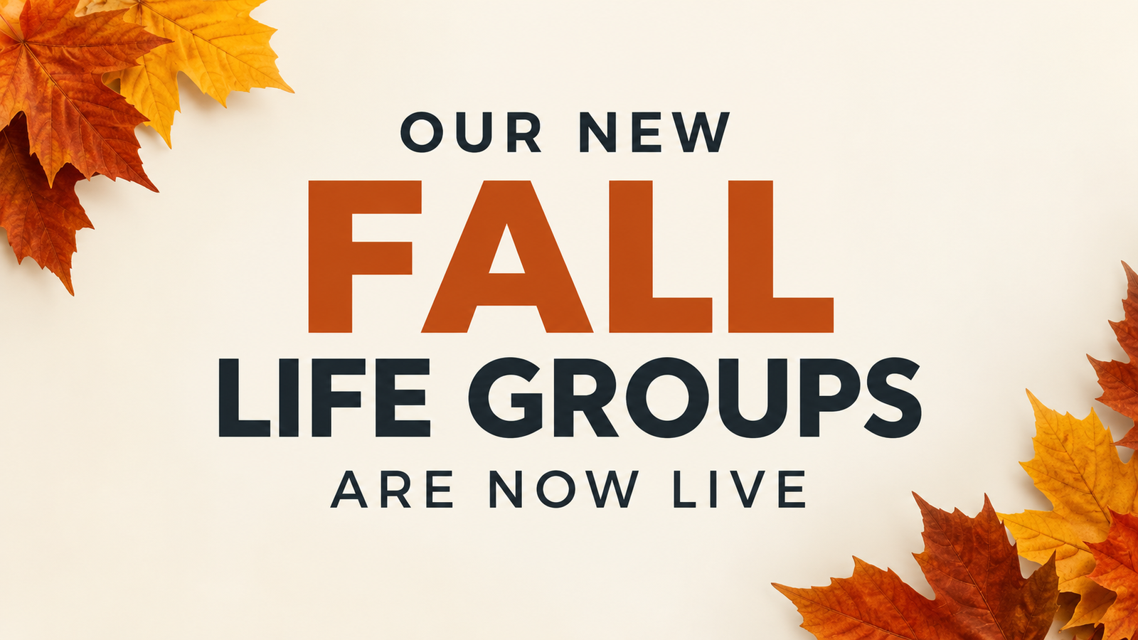 Our new Fall Life Groups are now live